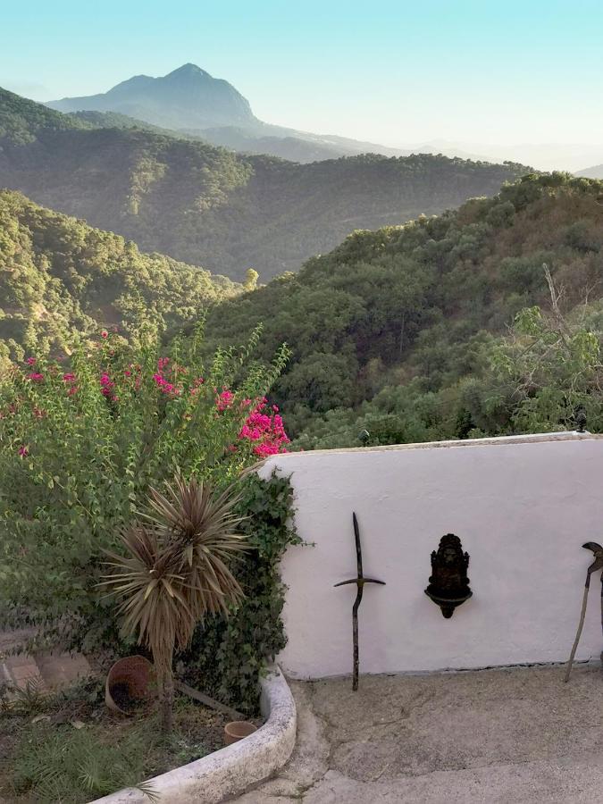Naturaleza Y Arte En La Casa Del Molino ヘナルグアシル エクステリア 写真